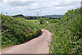 Ermington: lane to Worthele Cross