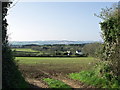 SW5531 : Fields at St. Hilary, Cornwall by nick macneill