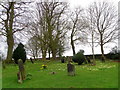 Primroses, Church of St Michael