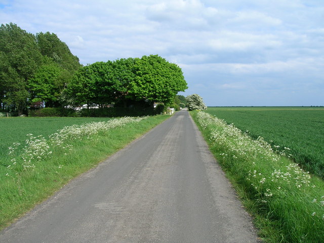 Old hall Road towards The Old Hall