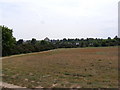 TM2446 : Footpath to the A12 over Martlesham Heath by Geographer