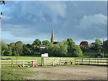 SE2280 : Masham Church, from the cricket ground car park by C P Smith