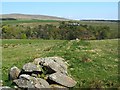 Old dry-stone wall