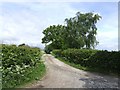 SO6688 : Bridleway to Arksley Farm by John M