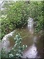 River Rea downstream from Hinton Bridge