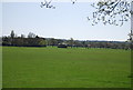 Ashburton Playing Fields