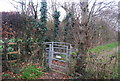 Kissing gate near Ploggs Hall