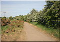 Footpath looking towards old Clipstone