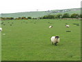 Farmland at Bennecarrigan and Sliddery