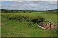 SO4203 : Farmland near Llandenny by Philip Halling