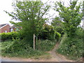 Little Lane Bridleway to Broad Road