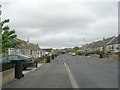 Castle Ings Gardens - Low Moor Side