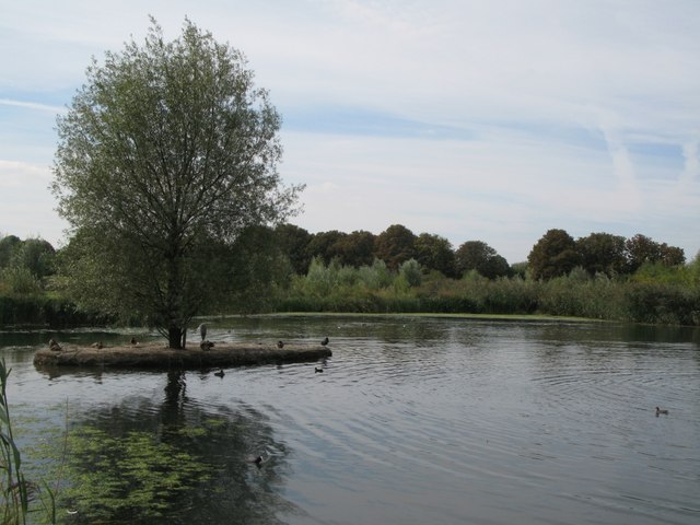 Lake in Sutcliffe Park