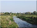 The River Allen, looking downstream towards Wimborne St Giles