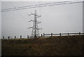 Pylon by the ECML