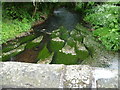 The River Alyn below Caergwrle