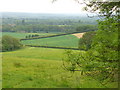 Sheep Green from Leith Hill