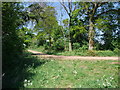 Bridleway junction near Golden-Hill Farm