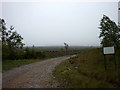 Forestry track, Widdale