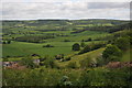 Farmland at Wolvesnewton