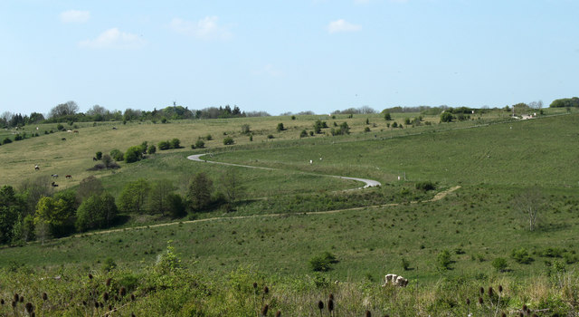 2011 : Looking north from Imber Road
