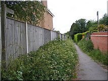 TM3055 : Little Lane Bridleway to the B1078 Border Cot Lane by Geographer
