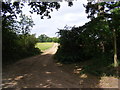 Bridleway to Hatcheston Lodge & B1116 The Street