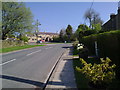 The Stanhope road leading out of Edmunbyers