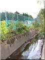TQ4174 : The Quaggy River north of Eltham Palace Road, SE9 (3) by Mike Quinn