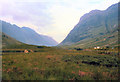 Glencoe