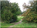 Bridge over the Quaggy River north of Sidcup Road (A20)