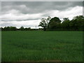 Farmland near Sherburn Lodge