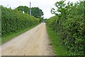 Unmade road at Norleywood