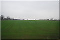SE3499 : Large arable field near Lazonby Grange by N Chadwick