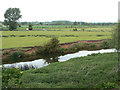 River Avon near Wasperton