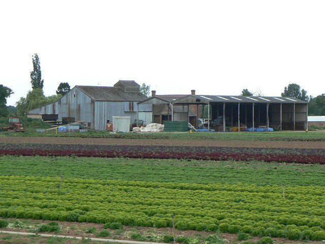 Wasperton Farm