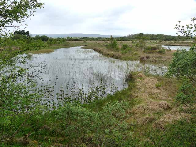 Ponds at Carrowkilleen