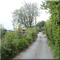 Narrow Tranch Road, Pontypool