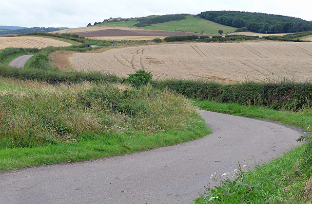 Country road near Bamburgh