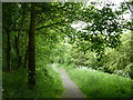 Footpath to Doe Lea by the A617