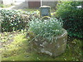 Threshfield Coronation Trough