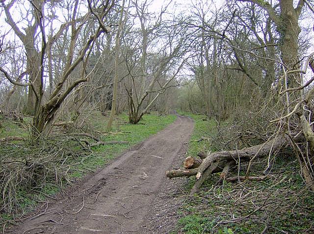 The Harrow Way © Graham Horn cc-by-sa/2.0 :: Geograph Britain and Ireland