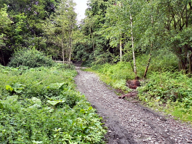 atwood park mountain bike trails