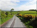 Shanmaghry Road, Corrycroar