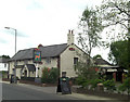 The Roebuck