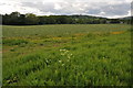ST2385 : Farmland near Michaelston-y-Fedw by Philip Halling