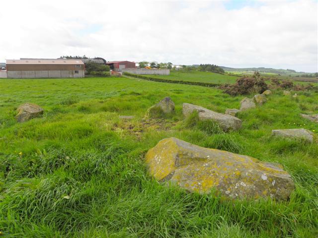 Chambered grave, Sluggan North (3)