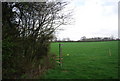 Footpath sign near Gibbon