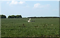 ST9446 : 2011 : Toward Bowl's Barrow from the road to Imber by Maurice Pullin