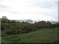 Haylie Brae view towards Great Cumbrae